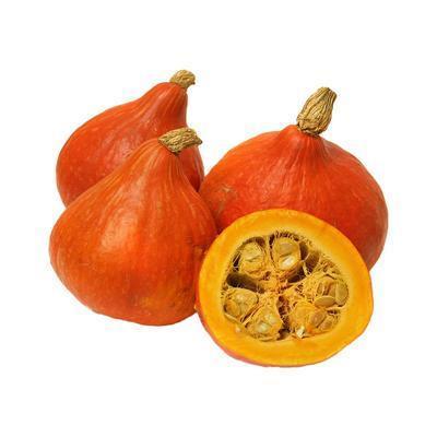 TEKVICA HOKKAIDO BIO 700g