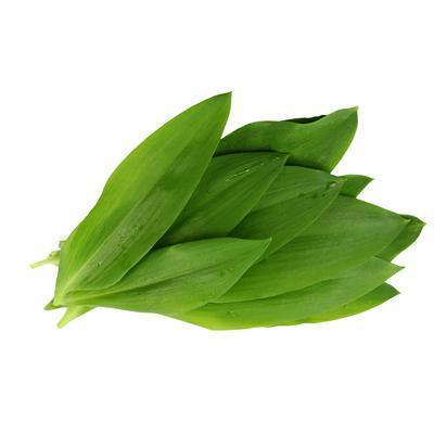 MEDVEDÍ CESNAK 100g