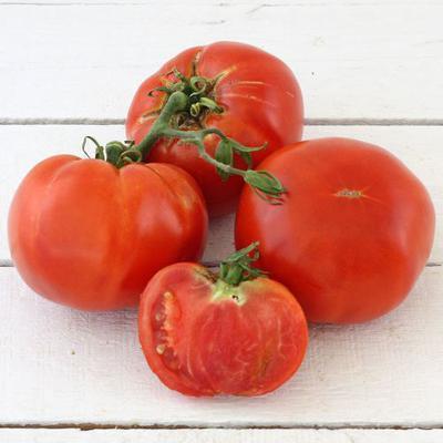 PARADAJKY BIO MÄSITÉ