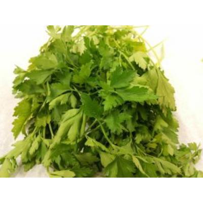 VŇAŤ PETRŽLENOVÁ VOĽNÁ /VÁHA/